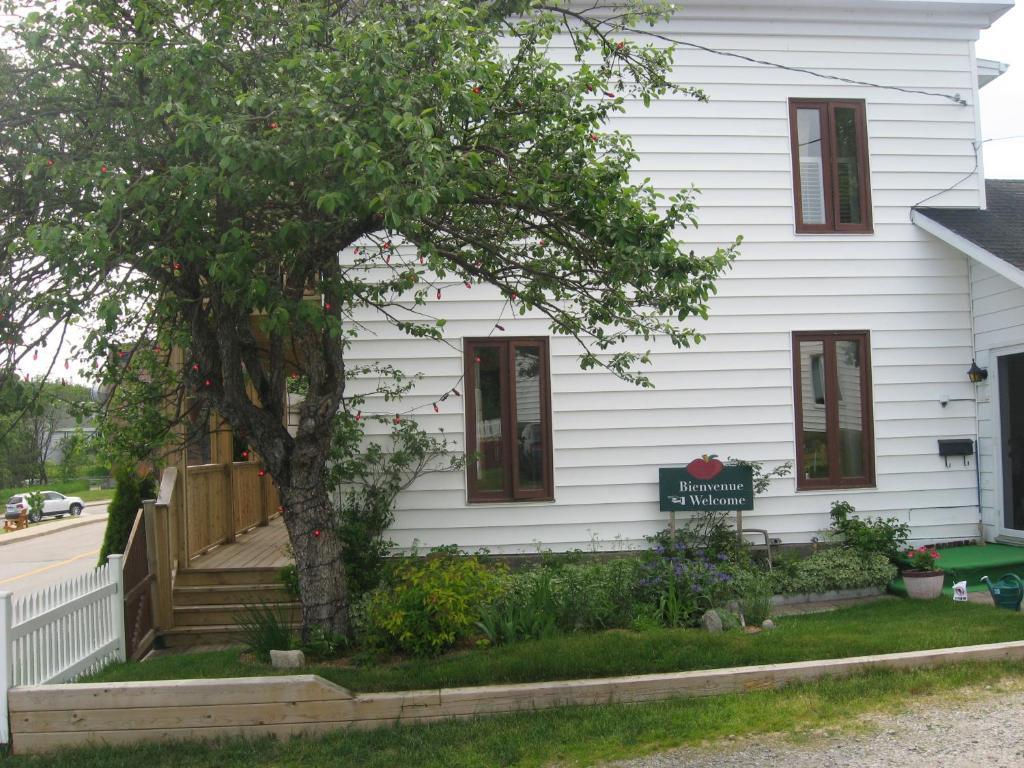 Gite Au Vieux Pommier Tadoussac Exterior photo